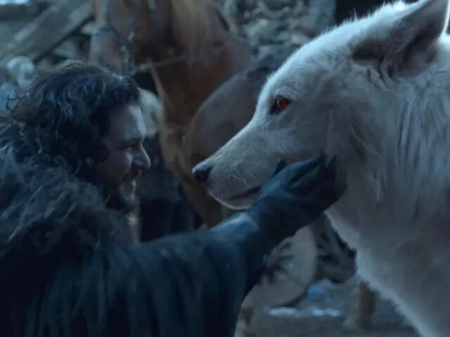 Watch: Genetic Engineering Company Boss Tells Joe Rogan How They Resurrected the Dire Wolf