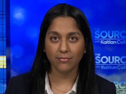 Kilmar Abrego Garcia lawyer Rina Gandhi on 4/18/2025 "The Source"