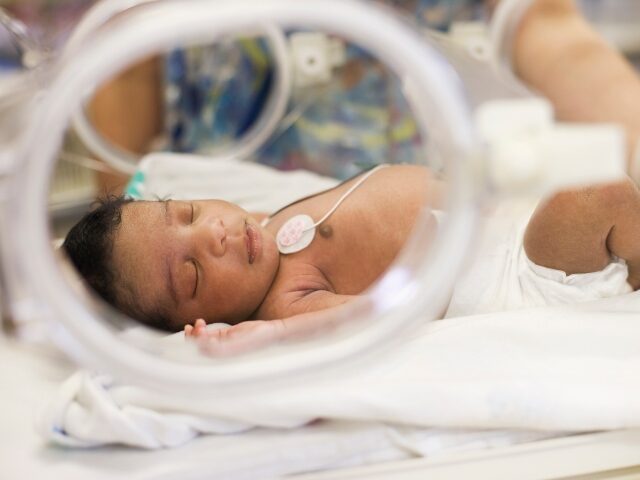 African American newborn baby in incubator - stock photo