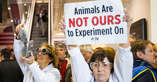 PETA Thanks Trump Admin for Phasing Out Animal Testing at FDA, EPA
