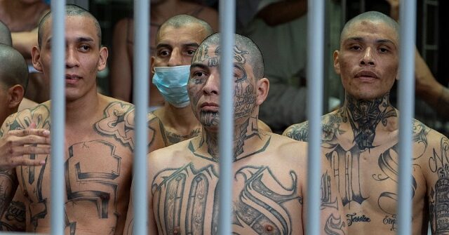 Migration Activists Sue to Block Trump from Deporting Alleged Illegal Alien Gangs