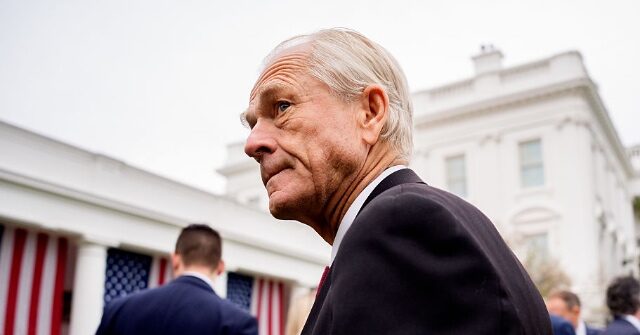 'He Ain't Built Sh*t': Elon Musk Fires at Trump Econ Adviser Peter Navarro over Tariffs