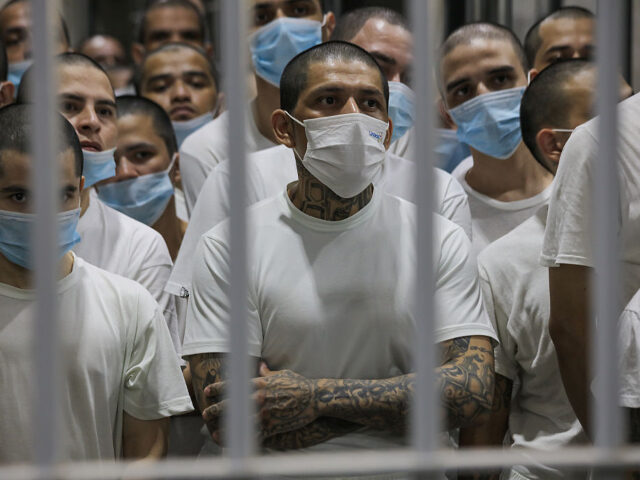 GettyImages-2208001857 SAN VICENTE, EL SALVADOR - APRIL 04: Gang members seen in a cell at the Terrorism Confinem