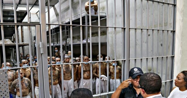 A pair of House Democrats say they want to conduct "welfare checks" on illegal aliens who were deported to El Salvador.