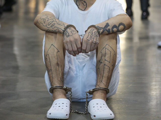 GettyImages-2208002063 SAN VICENTE, EL SALVADOR - APRIL 04: A gang member seen in a cell at the Terrorism Confine