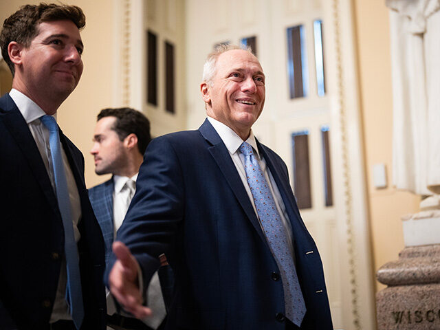 House Majority Leader Steve Scalise, R-La., talks with the media after the House passed th