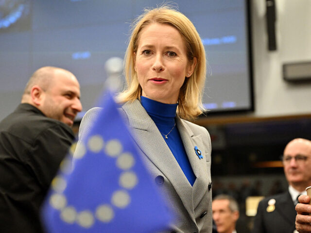 NATO Coalition of Volunteers Meeting BRUSSELS, BELGIUM - APRIL 11: EU High Representative for Foreign Affairs and Security Poli