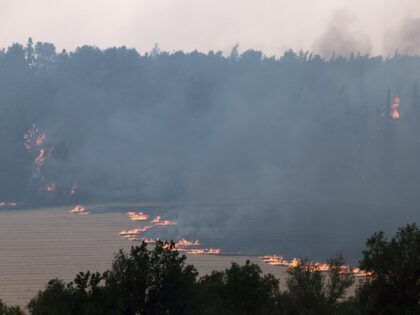 Flames engulf vegetation during a forest fire near the central Israeli town of Bet Shemesh
