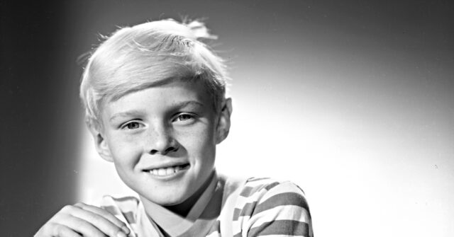 Jay North, TV’s Mischievous Dennis the Menace, Dies at 73