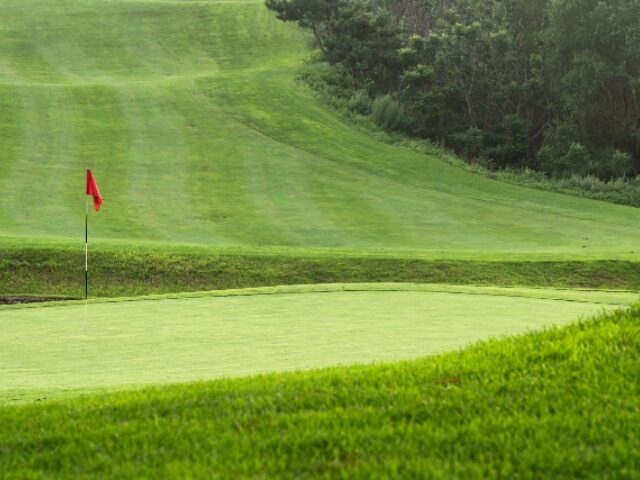 WATCH: Canadian Golfers Brawl in Wild, Bloody Melee