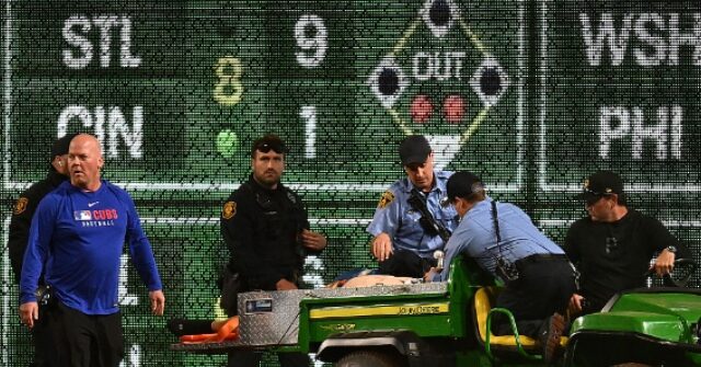 Fan Falls Off 21-Foot-High Wall at PNC Park During Pirates Game