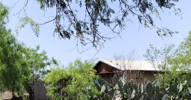 Six Torsos Discovered in Mexican Cartel Killing Field near Texas Border