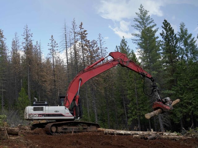 A crew member uses a tree processor to strip bark and branches from logs before being tran