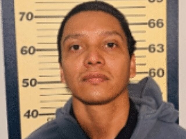 illegal migrant