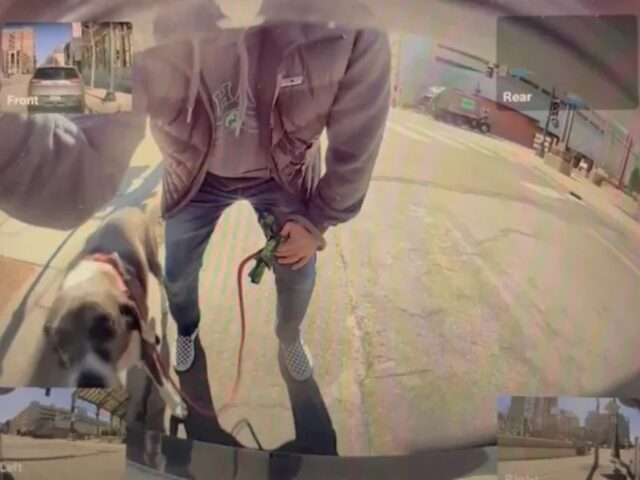 Minnesota Tesla vandal at work