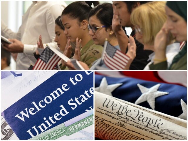 MixCollage-03-Apr-2025-07-51-AM-640