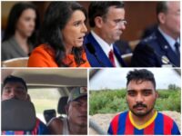 DNI GABBARD: Biden Admin Admitted 600 Illegal Aliens with Ties to Terrorists