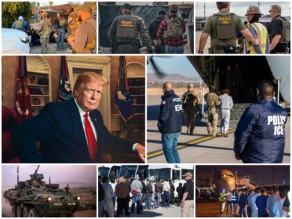 Trump's First 100 Days of Border Security and Immigration Enforcement (Government Photos)