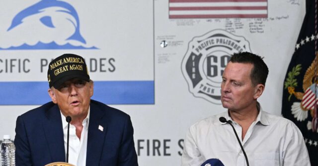 State Farm Eases Personal Property Payout Burden for L.A. Fire Victims After Talks with Trump's Grenell