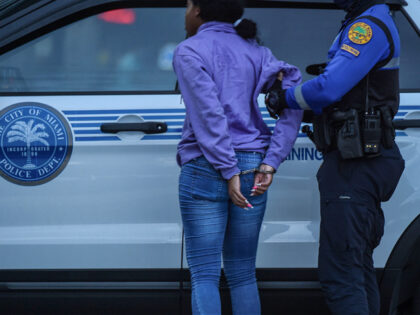 Police arrest a supporter of Democratic presidential nominee and former Vice President Joe