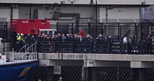 Tour Operator Behind Fatal NYC Helicopter Crash Closes Down