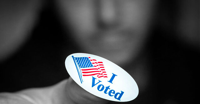 Dem Michigan Candidate Sean McCann Believes Nonsensical to Question Voting Systems Despite Challenging Before