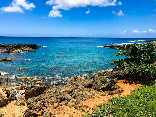 jo-barnes-TpoEOvBA1Ac-unsplash A lovely day snorkeling in Hawaii!