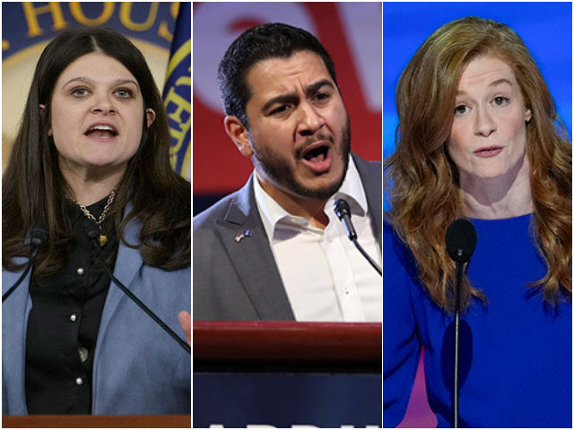 michigan congressional candidates Rep. Haley Stevens, D-Mich., joined by House Minority Leader Hakeem Jeffries, D-N.Y., spea