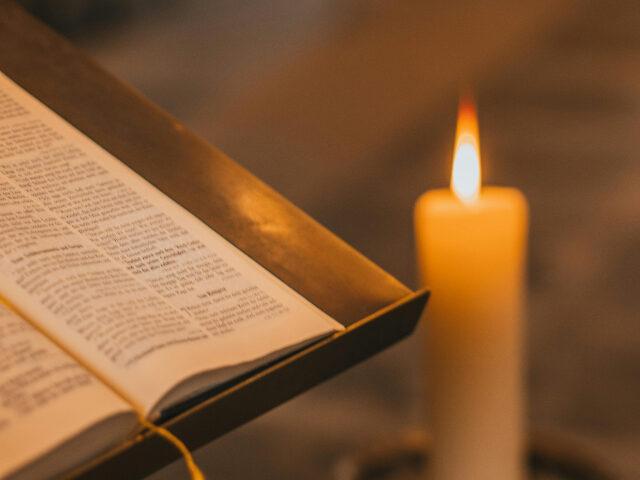 pexels-david-pohl-774939008-25752564