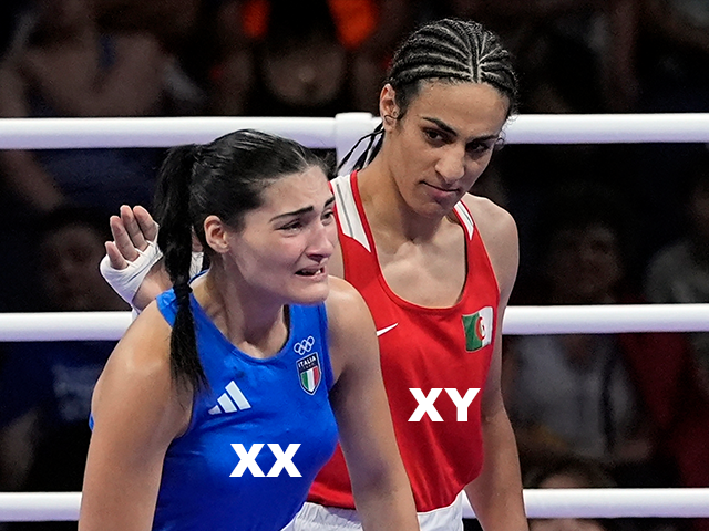 Trans Athletes Are Destroying Women’s Sports: It’s Time to Draw the Line