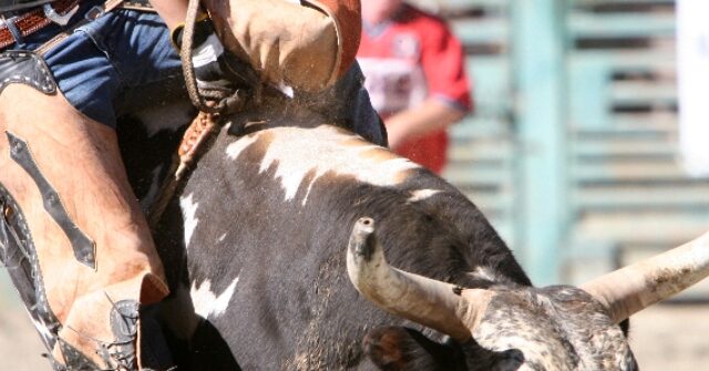 Rising Bull Riding Star, 24, Trampled to Death at Rodeo