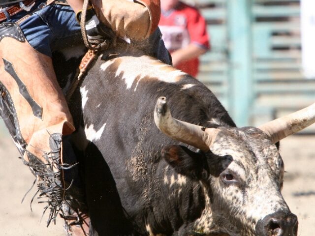 rhyman007_Getty Images