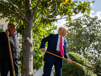 President Donald Trump participates in a commemorative tree-planting ceremony at the South