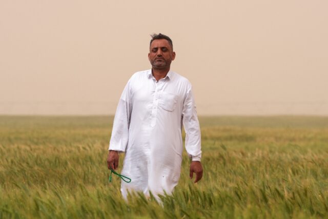 Iraqi farmer Hadi Saheb says he is cultivating 20 times more land than before in the Naja