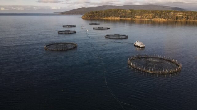 Salmon pens belonging to the Tassal company located off Charlotte Cove, in the d'Entrecast