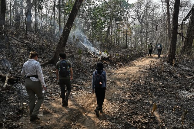 In Thailand's Umphang Wildlife Sanctuary, scientists confront the toll that human activity