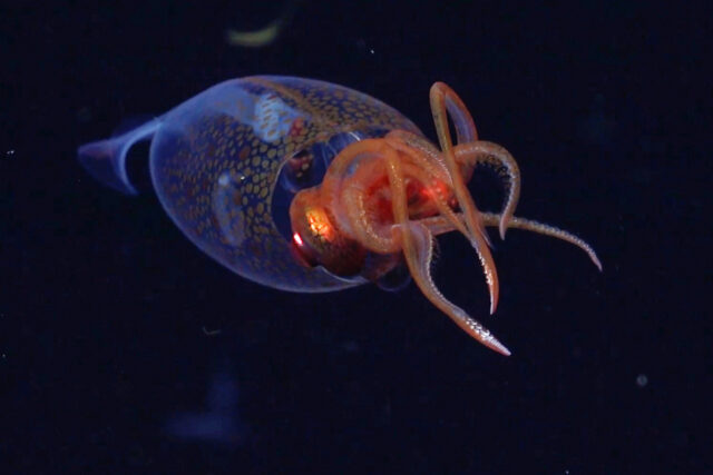 The Associated Press