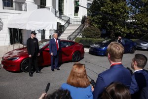 Elon Musk to step back from DOGE, focus on Tesla after profits plunge 71%