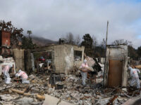 Los Angeles Police Try to Return Guns to Palisades Fire Victims