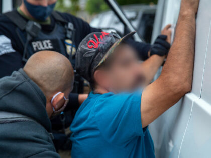 The Department of Homeland Security (DHS) and U.S. Immigration and Customs Enforcement (IC
