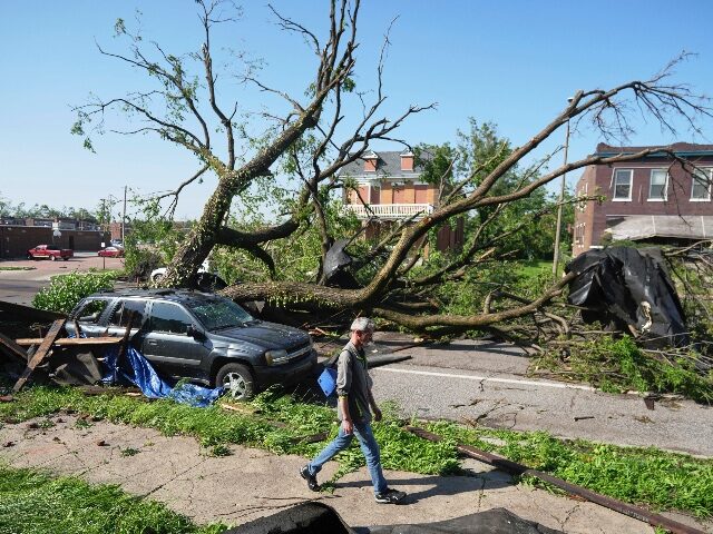A person walks past a large tree blocking a road after a severe storm moved through Friday