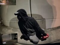 Accused Arizona Tesla Terrorist Will Remain in Custody Until July Trial
