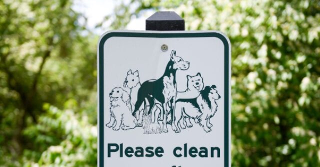 VIDEO: Minor League Official Scoops Dog Poop Off the Field with Bare Hands