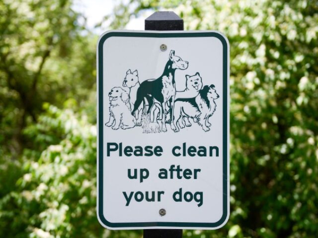 VIDEO: Minor League Official Scoops Dog Poop Off the Field with Bare Hands