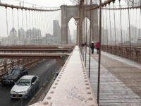 Ship with over 200 People on Board Hits Brooklyn Bridge