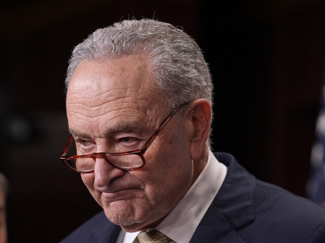 Coast Guard Pushes Back When Schumer Claims Trump and DOGE Had Part in Fatal NYC Ship Crash