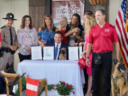 DeSantis Signs Animal Cruelty Law