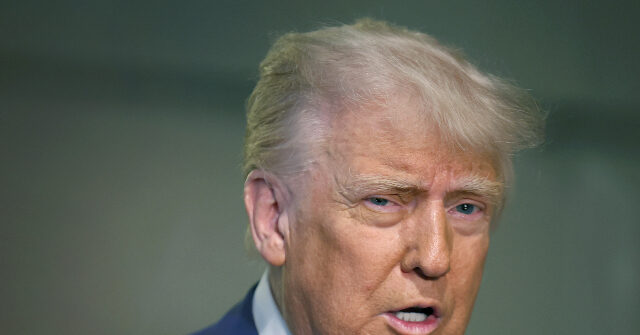 Donald Trump: We'll Know in 2 Weeks if Putin Is 'Tapping Us Along'