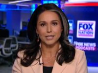 Gabbard: We Referred Obama Russia Docs to DOJ