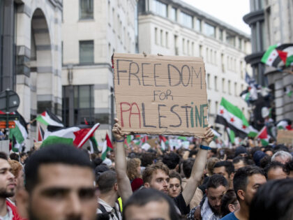 Illustration picture shows a demonstration called by the Belgo-Palestinian Association and